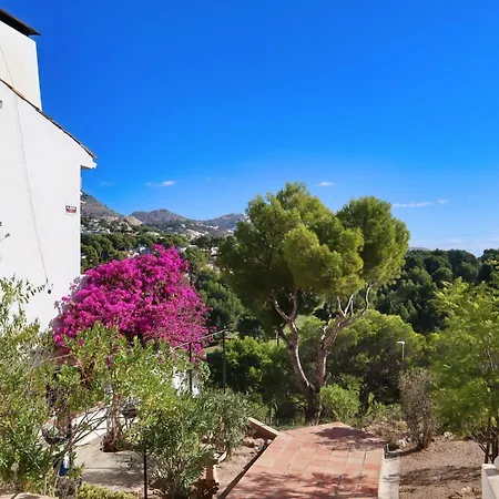 Appartement Don Cayo 2